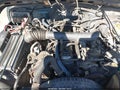 1999 Jeep Wrangler — photo 12 of 12 | VIN 1J4FY49S7XP490270
