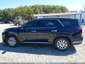 2025 Hyundai Palisade — photo 14 of 16 | VIN KM8R24GE5SU941283