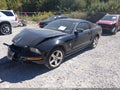 2008 Ford Mustang — photo 2 of 11 | VIN 1ZVHT80N985159115