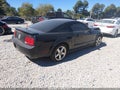 2008 Ford Mustang — photo 4 of 11 | VIN 1ZVHT80N985159115