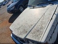 1980 Volvo 240 — photo 10 of 16 | VIN VC24445A1565856