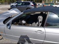 2001 BMW 3 Series — photo 20 of 21 | VIN WBABS53491JU87979