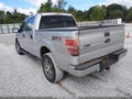 2014 Ford F-150 — photo 3 of 11 | VIN 1FTFW1EF3EFA66302
