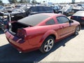 2006 Ford Mustang — photo 4 of 17 | VIN 1ZVFT82H865265406