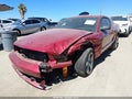 2006 Ford Mustang — photo 6 of 17 | VIN 1ZVFT82H865265406