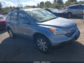 2009 Honda CR-V — photo 1 of 11 | VIN 5J6RE48709L066104