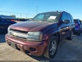 2007 Chevrolet Trailblazer — photo 6 of 16 | VIN 1GNDT13S672137834