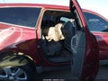 2011 Chevrolet Traverse — photo 8 of 16 | VIN 1GNKRGEDXBJ107936