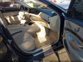 2016 Mercedes-Benz S-Class — photo 5 of 18 | VIN WDDUG8CB3GA239190