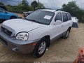2001 Hyundai Santa Fe — photo 2 of 11 | VIN KM8SC83D11U079780