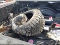 2020 Ford F-250 — photo 12 of 17 | VIN 1FT7W2BT0LEC93017
