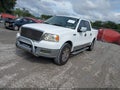 2004 Ford F-150 — photo 2 of 11 | VIN 1FTPW12564KB16499