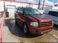 2007 Ford Expedition — photo 1 of 16 | VIN 1FMFU19517LA68394