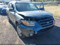 2009 Hyundai Santa Fe — photo 6 of 11 | VIN 5NMSH13E39H330615