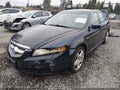2004 Acura TL — photo 2 of 18 | VIN 19UUA66204A001032