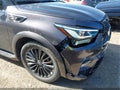 2023 Infiniti QX80 — photo 17 of 18 | VIN JN8AZ2AF3P9756134