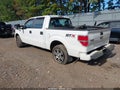 2014 Ford F-150 — photo 3 of 17 | VIN 1FTFW1EF4EFB54145