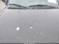 2001 Ford Expedition — photo 12 of 13 | VIN 1FMPU16L01LB07376