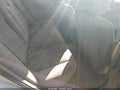 1998 Toyota Camry — photo 8 of 16 | VIN 4T1BG22K2WU303535