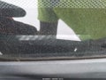 2013 Honda Fit — photo 12 of 12 | VIN JHMGE8H34DC020834