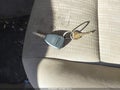 2007 Dodge Caliber — photo 11 of 16 | VIN 1B3HB28B67D321723