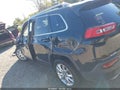 2015 Jeep Cherokee — photo 15 of 16 | VIN 1C4PJLDS2FW517640