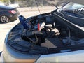 2011 Kia Sorento — photo 10 of 11 | VIN 5XYKTDA27BG066808