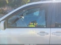 2008 Toyota Sienna — photo 6 of 13 | VIN 5TDZK22C28S132609