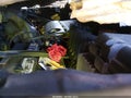 2004 Lexus RX 330 — photo 10 of 11 | VIN JTJHA31U640041481