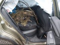 2023 Subaru Outback — photo 8 of 16 | VIN 4S4BTGUDXP3159781