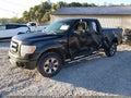 2013 Ford F-150 — photo 2 of 16 | VIN 1FTFX1EFXDFD66284