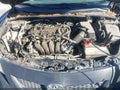 2009 Toyota Corolla — photo 10 of 11 | VIN JTDBL40E39J044889