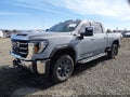 2024 GMC Sierra — photo 2 of 21 | VIN 1GT49NEY1RF433680