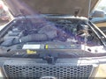 2003 Ford Ranger — photo 10 of 14 | VIN 1FTZR45E13TA25551