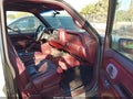 1998 GMC Yukon — photo 5 of 11 | VIN 1GKEK13RXWJ728481