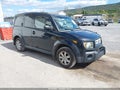 2008 Honda Element — photo 1 of 16 | VIN 5J6YH28718L018150