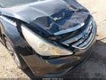 2013 Hyundai Sonata — photo 6 of 16 | VIN 5NPEC4AC8DH730115