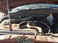 2002 Dodge Ram 1500 — photo 10 of 11 | VIN 1D7HA18Z32S595030