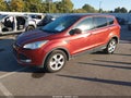 2014 Ford Escape — photo 2 of 12 | VIN 1FMCU0GX2EUE50992