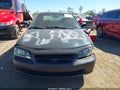 1999 Honda Accord — photo 13 of 17 | VIN 1HGCG1655XA041957