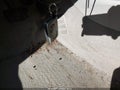 2010 Toyota Camry — photo 11 of 16 | VIN 4T4BF3EK5AR038452