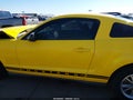 2005 Ford Mustang — photo 14 of 16 | VIN 1ZVFT80N855220554