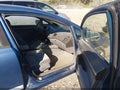 2006 Honda Civic — photo 5 of 18 | VIN 1HGFA16846L011263