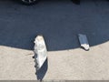 2016 Nissan Altima — photo 12 of 17 | VIN 1N4AL3AP8GC134939