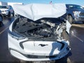 2021 Ford Mustang Mach-E — photo 18 of 19 | VIN 3FMTK1RM9MMA47920