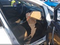 2012 Buick Verano — photo 5 of 16 | VIN 1G4PS5SK7C4229210