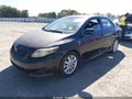 2010 Toyota Corolla — photo 2 of 12 | VIN 1NXBU4EE5AZ318260