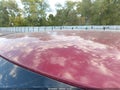 2014 Ram 1500 — photo 12 of 19 | VIN 1C6RR7LT0ES420579