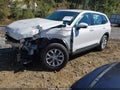 2024 Honda CR-V — photo 2 of 16 | VIN 2HKRS4H2XRH446509