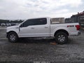 2018 Ford F-150 — photo 14 of 19 | VIN 1FTEW1E53JKD63560